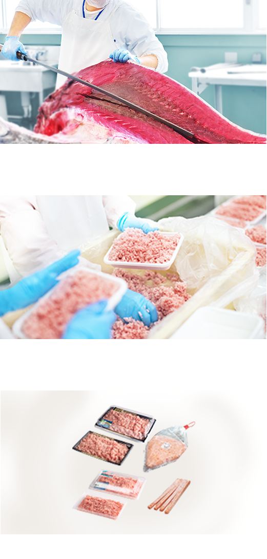 仕入れたまぐろを衛生管理された設備での解体