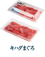 キハダまぐろ